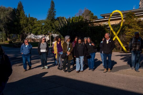 Six Months In: The Growing Impact of Shnat Sherut 50 Plus