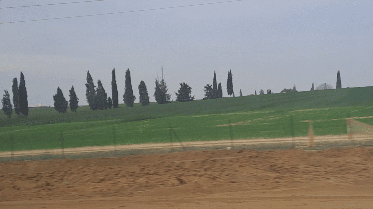 The green of Kfar Aza